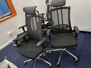 Executive Orthopedic Office Chairs