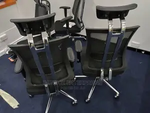 Executive Orthopedic Office Chairs