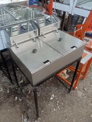 Nexus Imported Chips Fryer