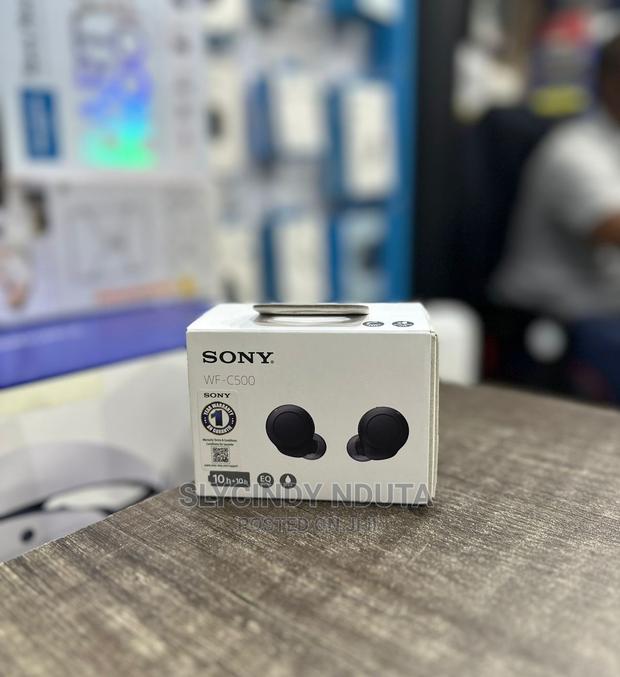 Sony Buds Wf-C500 - main view