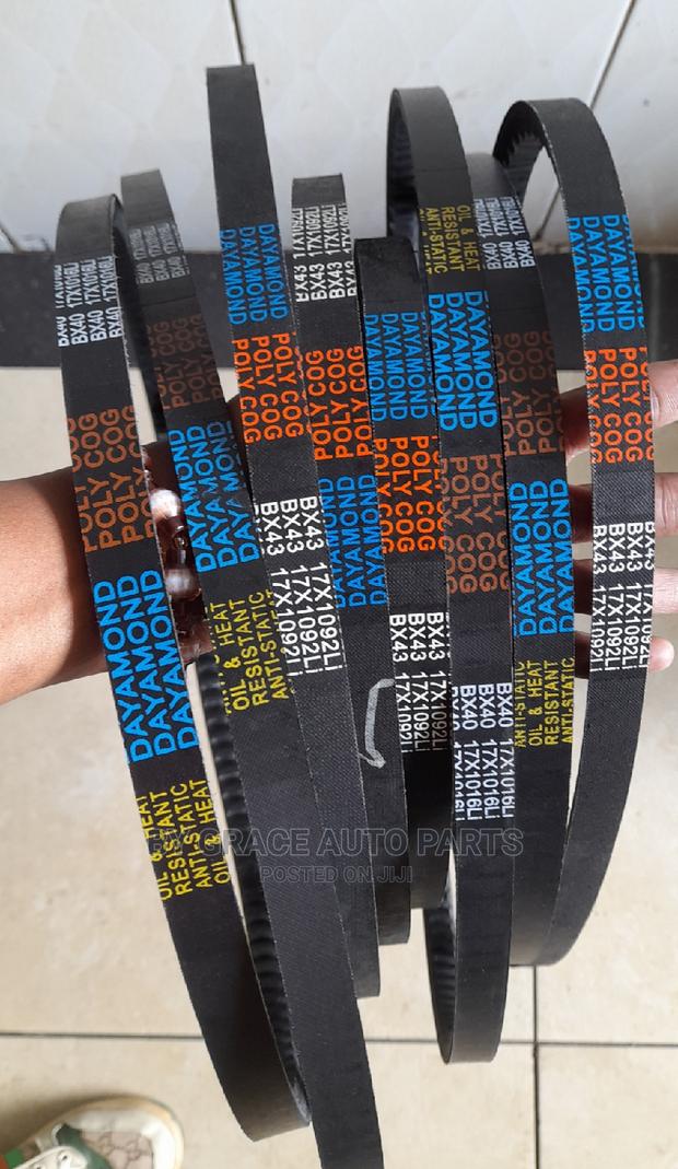 Original Fun Belts