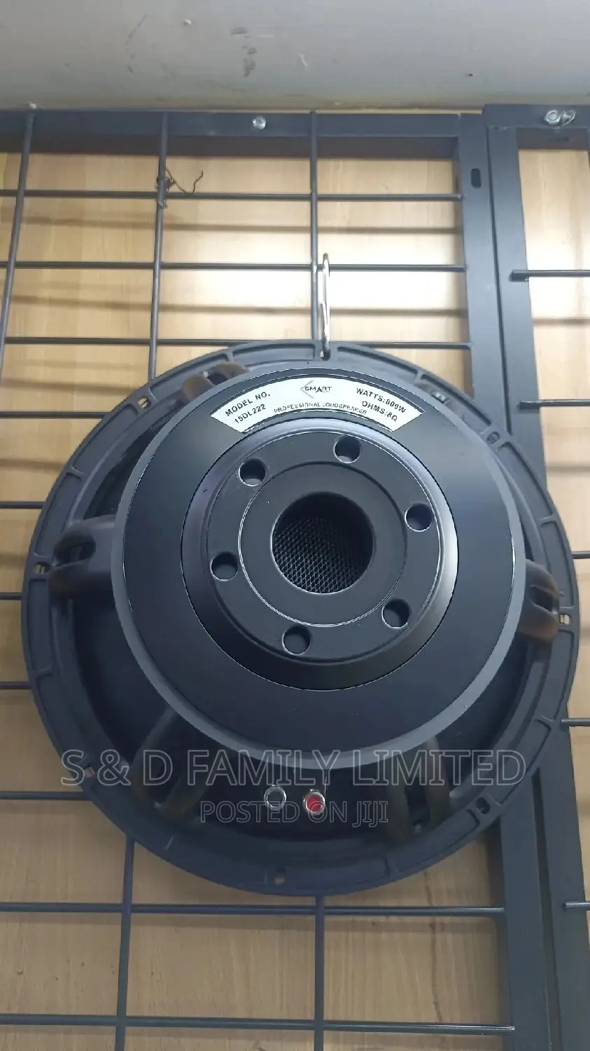 Smart Audio 15DL222 15 Inch Speaker