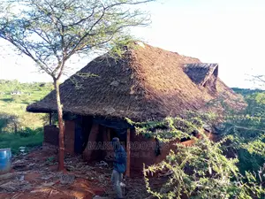 Cob Building and Makuti Roofing Construction