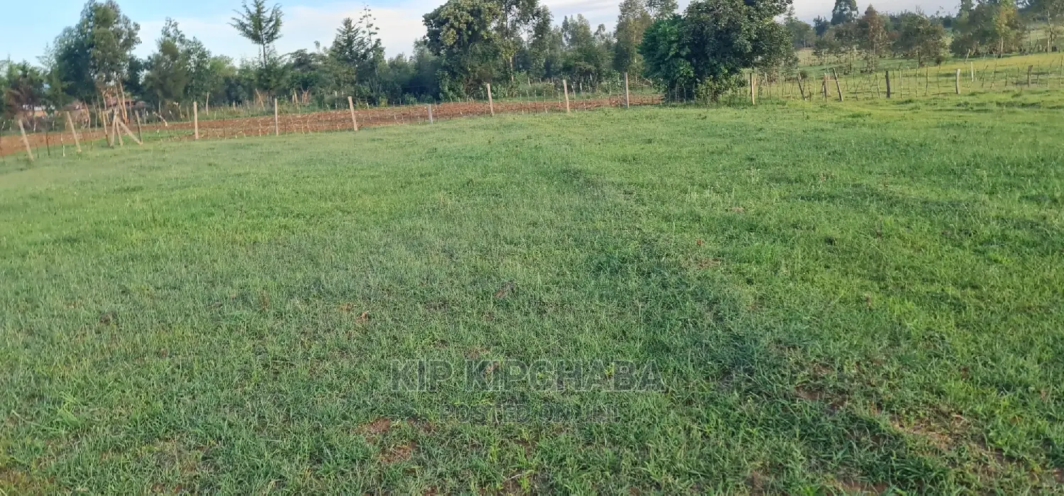 8 Plots for Sale in Simat Kipkenyo in Eldoret in Kipkenyo Land