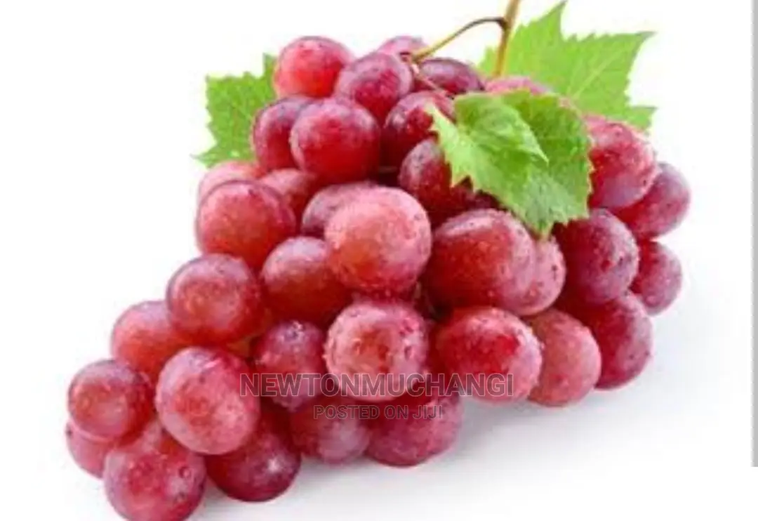 Crimson Red Grape Seedlings Available.