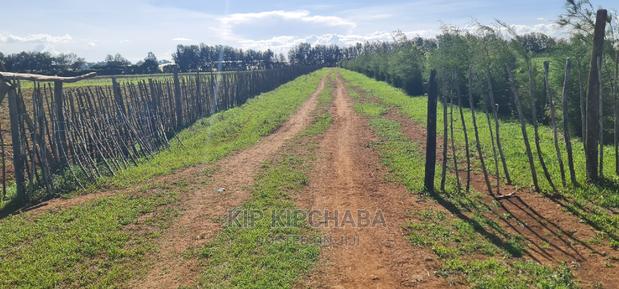 1⁄4 Plots for Sale in Marura After Kimumu Eldoret