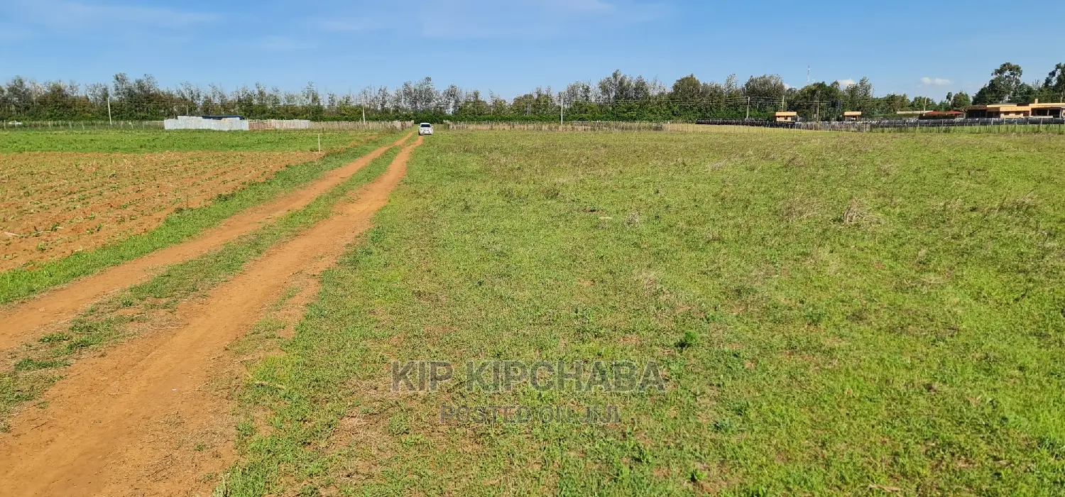1⁄4 Plots for Sale in Marura After Kimumu Eldoret