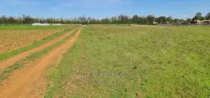 1⁄4 Plots for Sale in Marura After Kimumu Eldoret