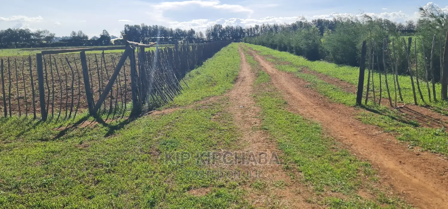 1⁄4 Plots for Sale in Marura After Kimumu Eldoret