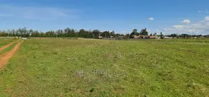 1⁄4 Plots for Sale in Marura After Kimumu Eldoret