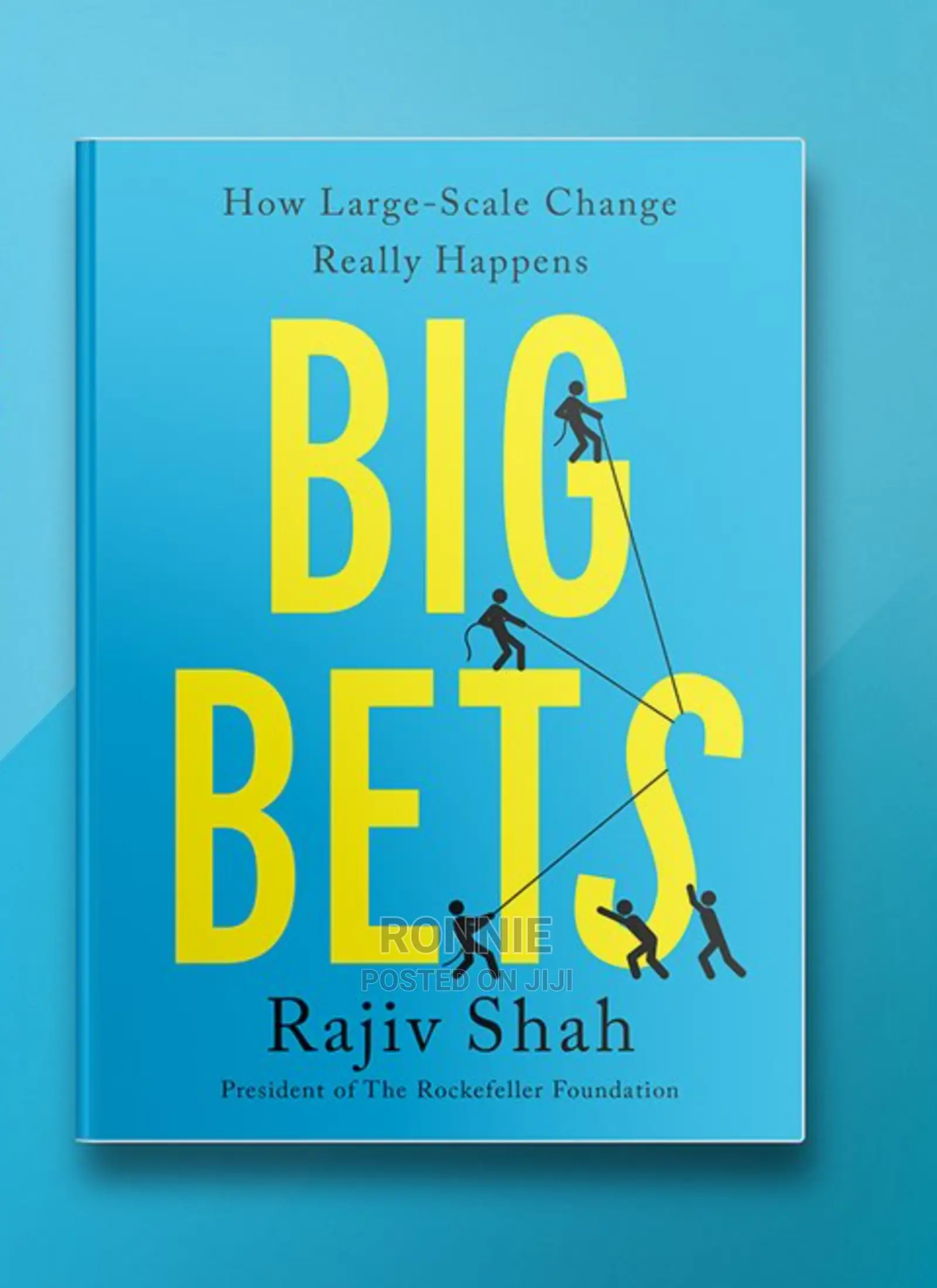 Big Bets: How Large-Scale Change Really Happens Book by Raji