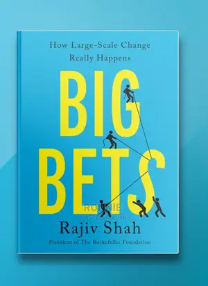 Big Bets: How Large-Scale Change Really Happens Book by Raji