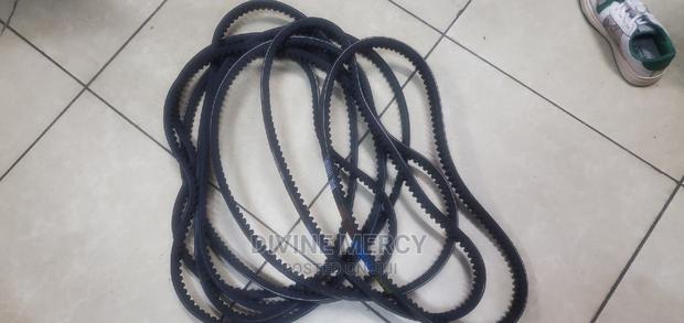 Original Fun Belts