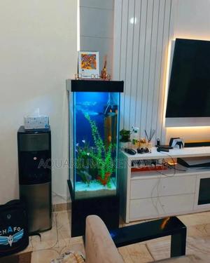 4ft Tall Aquarium, With a 3ft Tower Tank. - thumbnail 2