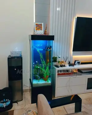 4ft Tall Aquarium, With a 3ft Tower Tank.