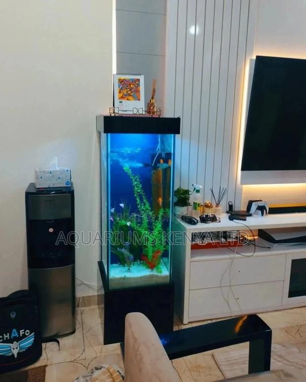 4ft Tall Aquarium, With a 3ft Tower Tank. - main view