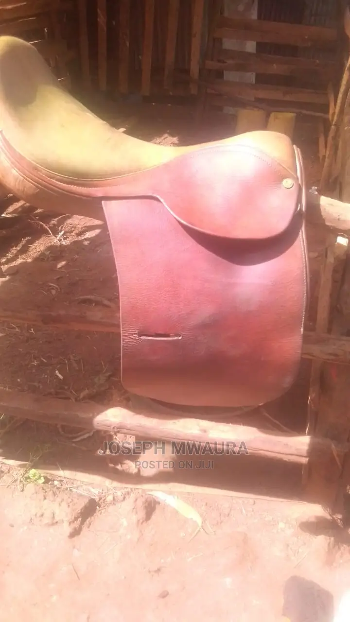 Horses Riding Equipment