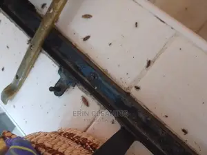 Pest Services of Bedbugs and Cockroaches