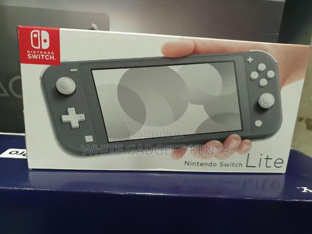 Nintendo Switch Lite - main view