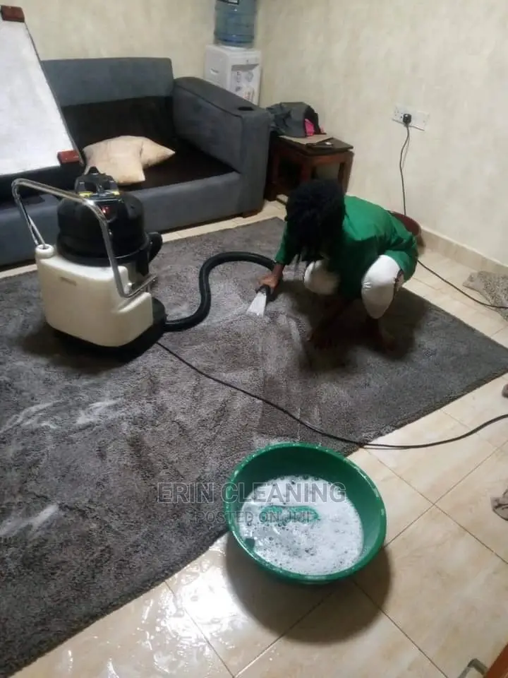 Deep Sofa and Carpet Cleaning