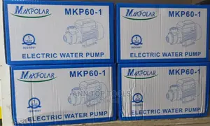 Maxpolar Electric Booster Waterpump