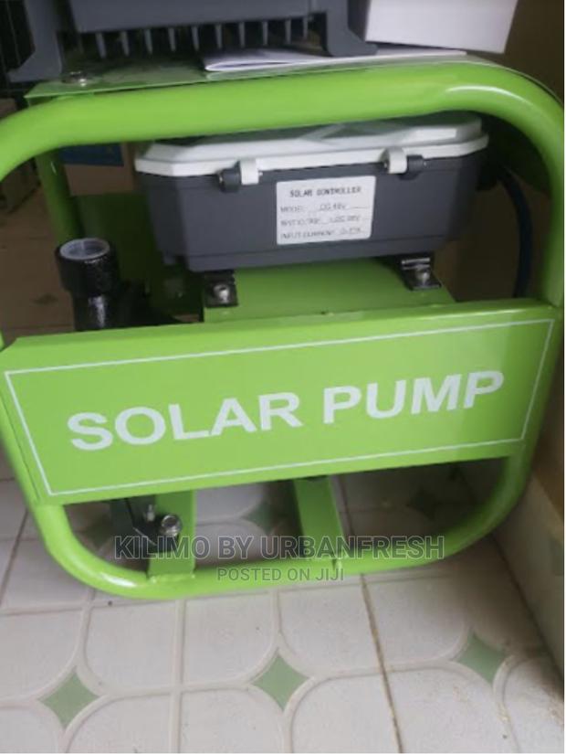 Solar Water Pumps - main view