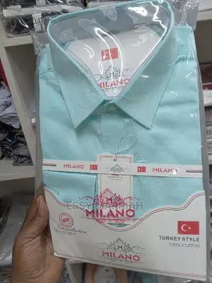 . Men Official Shirts / Formal Shirts