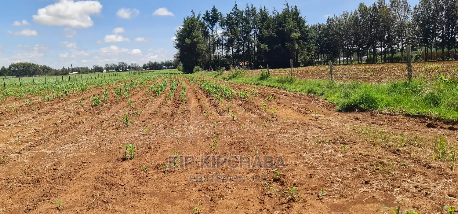 1 Acre for Sale in Marura After Kimumu in Eldore