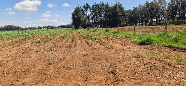 1 Acre for Sale in Marura After Kimumu in Eldore