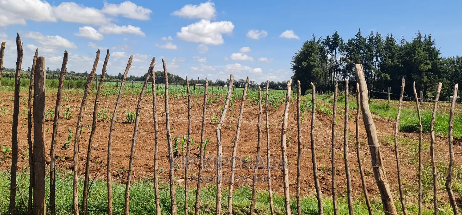 1 Acre for Sale in Marura After Kimumu in Eldore