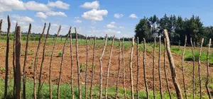 1 Acre for Sale in Marura After Kimumu in Eldore