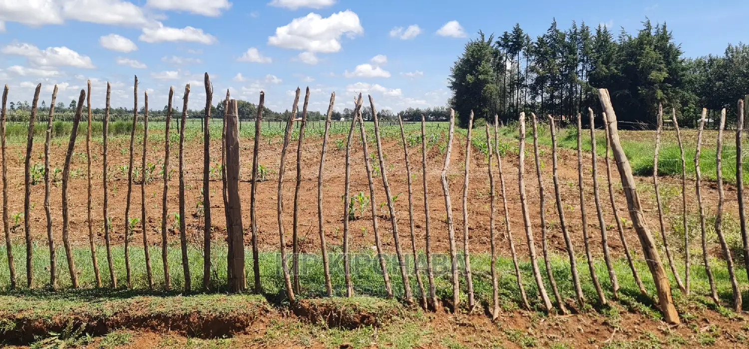 1 Acre for Sale in Marura After Kimumu in Eldore