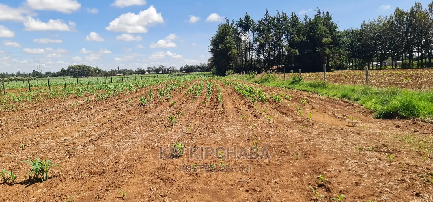 1 Acre for Sale in Marura After Kimumu in Eldore