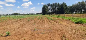1 Acre for Sale in Marura After Kimumu in Eldore