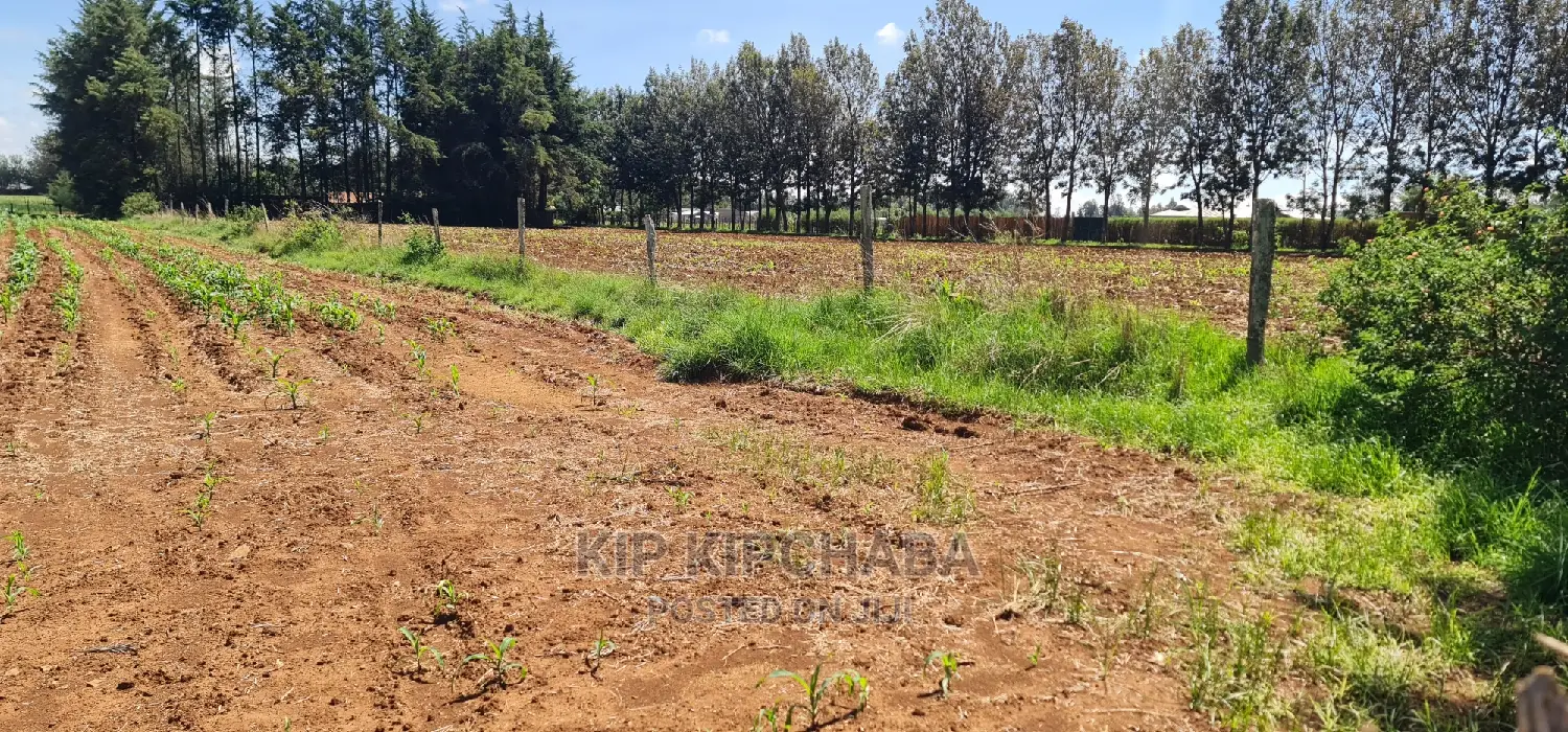 1 Acre for Sale in Marura After Kimumu in Eldore
