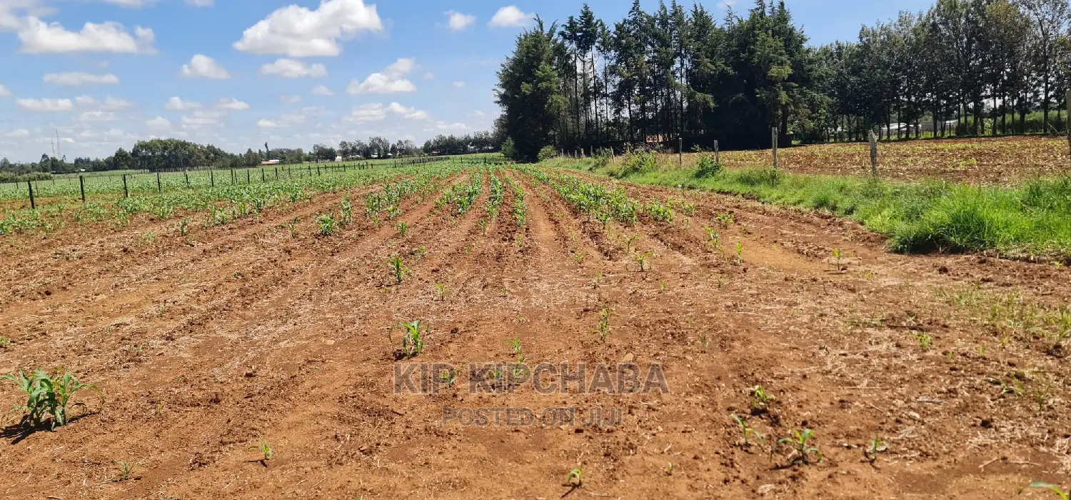 1 Acre for Sale in Marura After Kimumu in Eldore