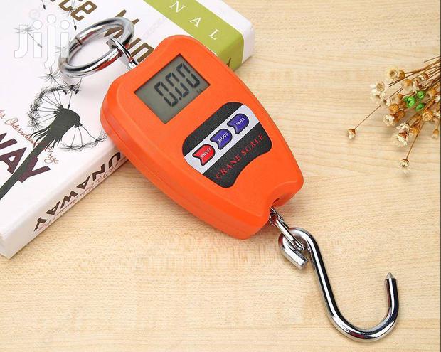 Mini Crane Scale 200kg - main view