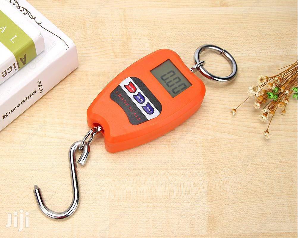 Mini Crane Scale 200kg