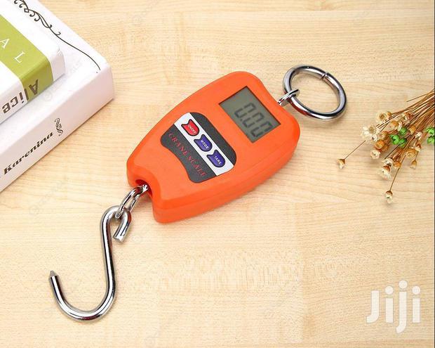 Mini Crane Scale 200kg - thumbnail 4