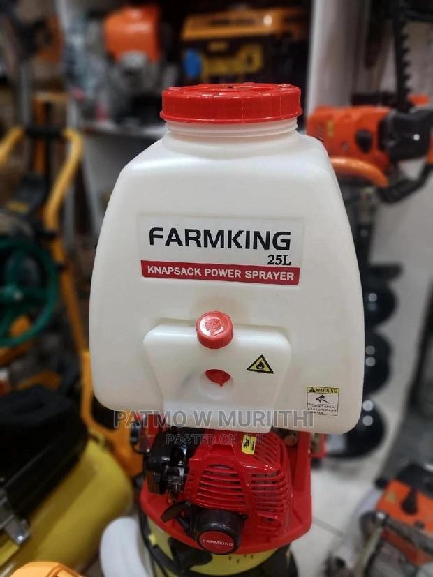 Engine Knapsack Sprayer 25L