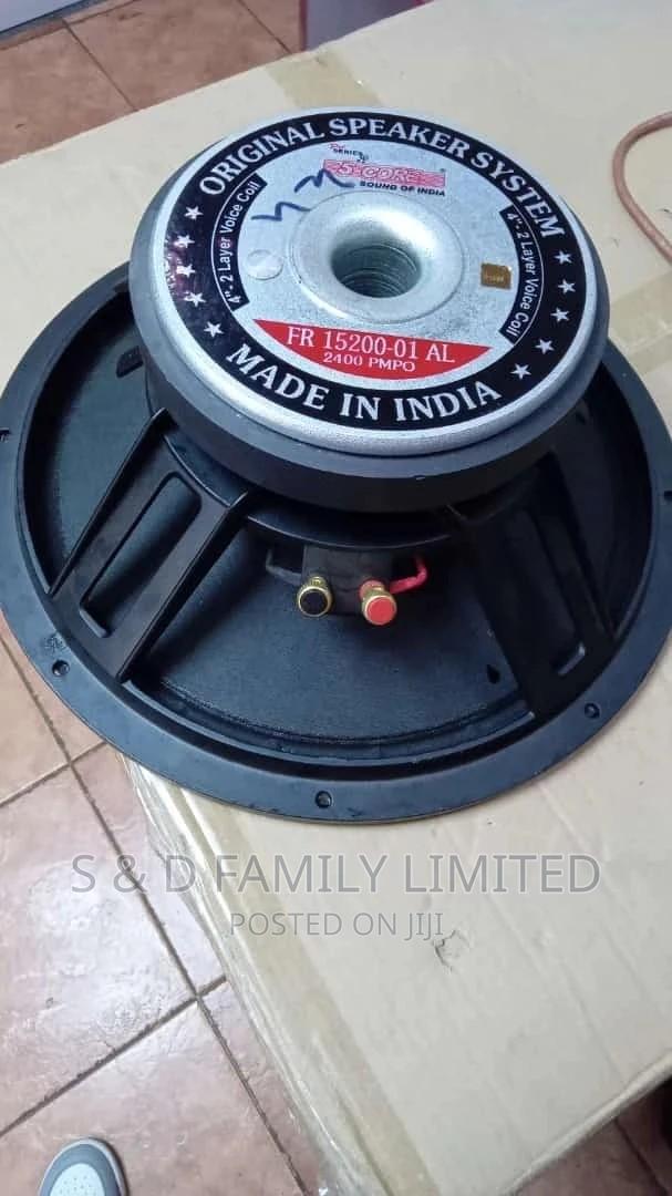 5 Core Midrange Naked Speaker FR15200
