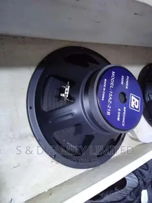 15 Inch BM Midbass Speaker