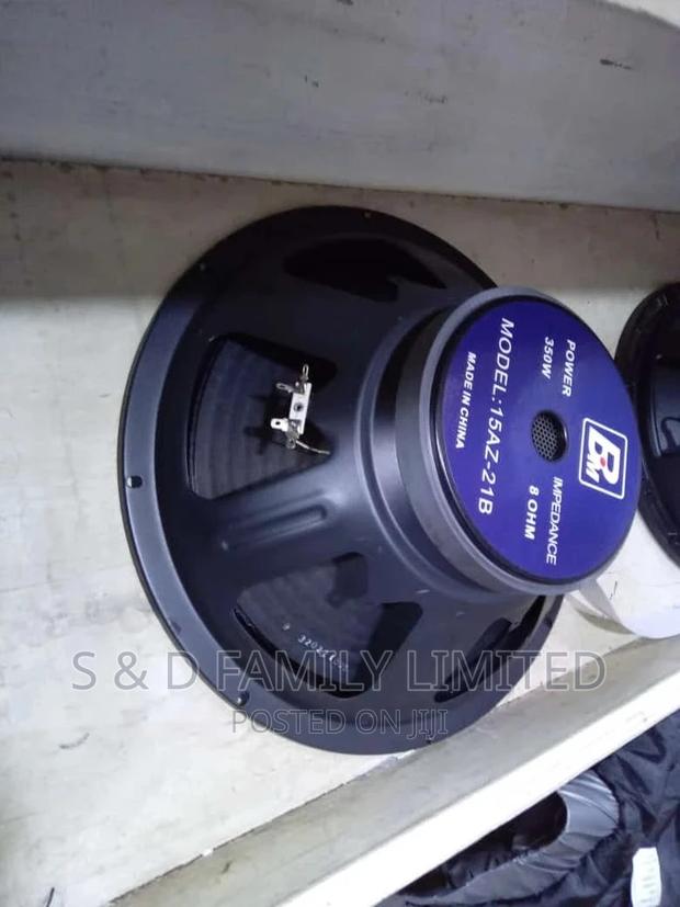 15 Inch BM Midbass Speaker