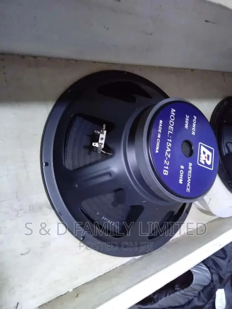 15 Inch BM Midbass Speaker