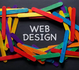 Professional Website Design and Developer for Hire