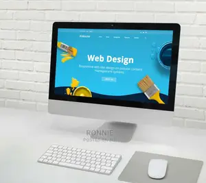 Professional Website Design and Development