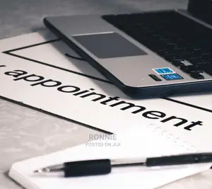 Need a Reliable Website Developer? Look No Further