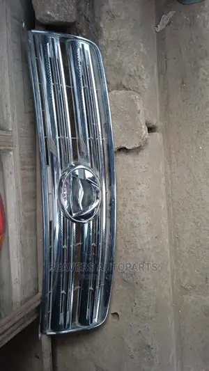 Axio 141 2007-2010 Grill