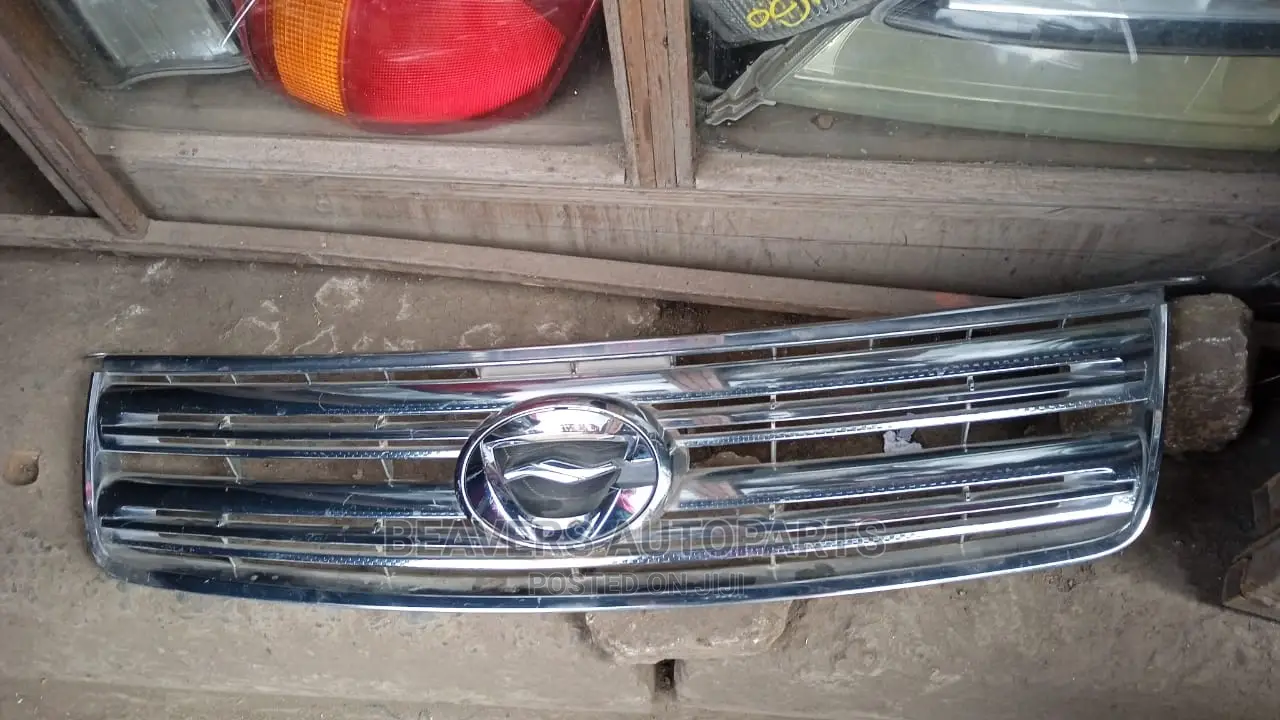 Axio 141 2007-2010 Grill
