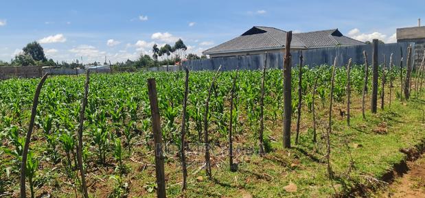 1⁄8 Plot for Sale in Sogomo Chepkoilel Eldoret - main view